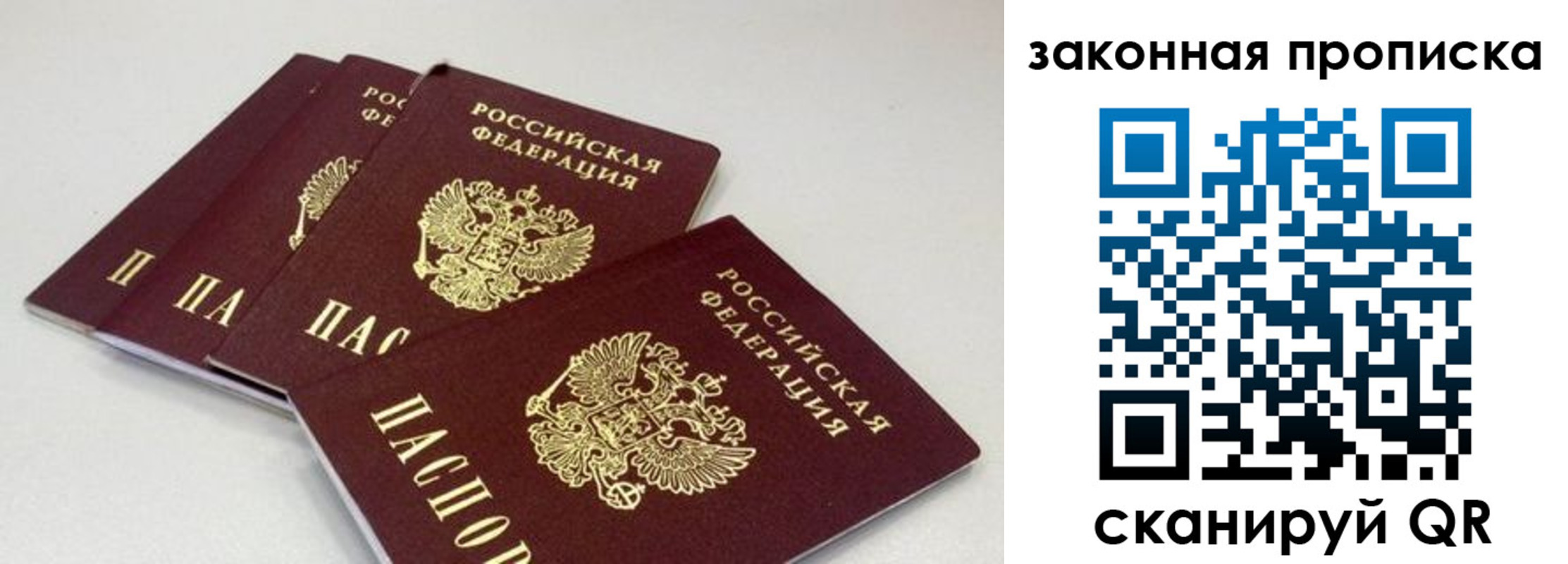 пропишу в квартире в Фокино